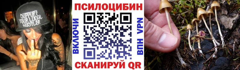 Псилоцибиновые грибы Magic Shrooms  Купить закладки  Павловский Посад 